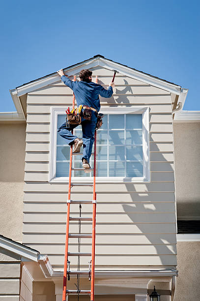 Shed Removal in Redington Shores, FL